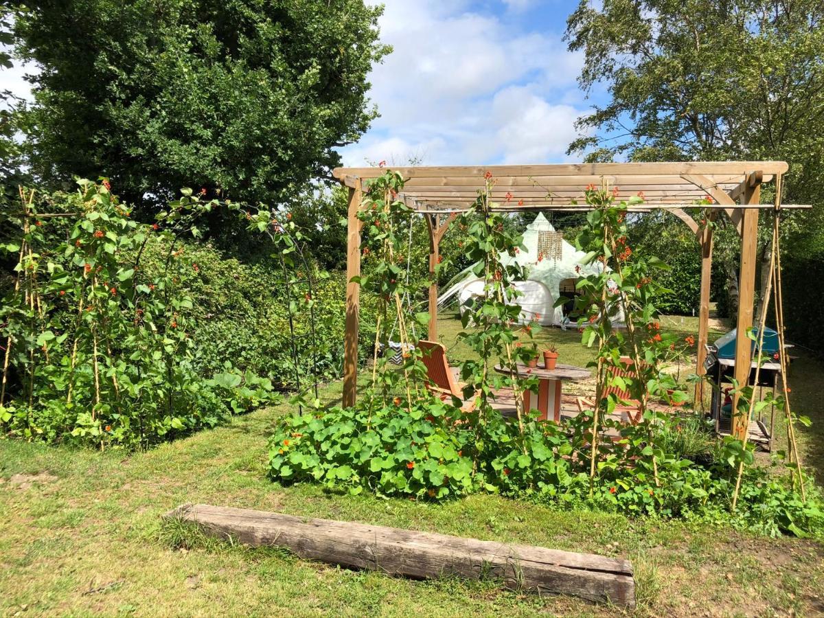 Secret Garden Glamping Hotell Lymington Exteriör bild